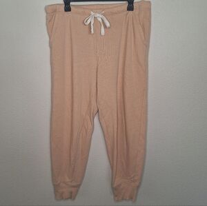 AERIE Peach colored Comfy Cozy Lounge Pants Size L